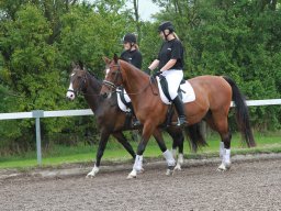 img_5670_web